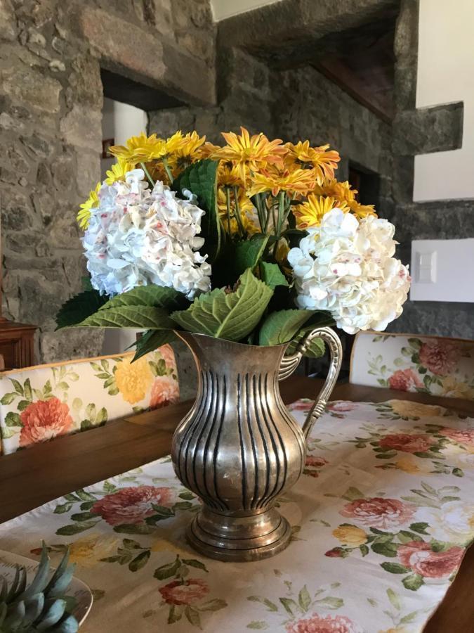 Charming Green Country House Nordestinho Zewnętrze zdjęcie